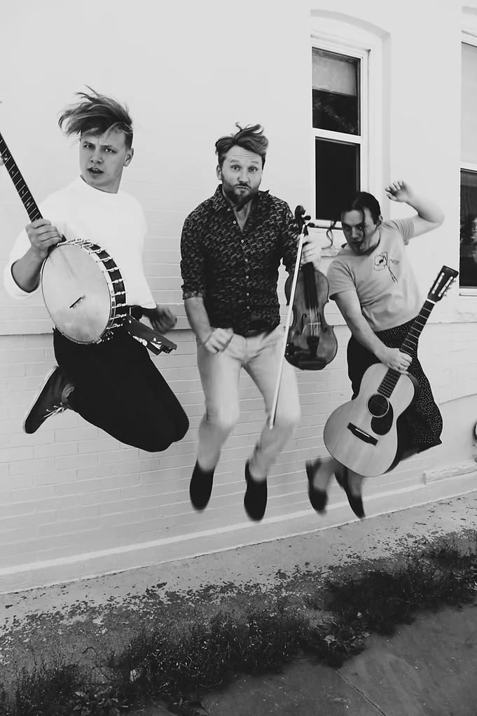 Tall Poppy String Band photo